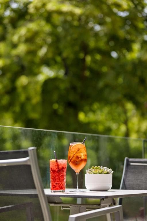 DoubleTree by Hilton Vienna Schonbrunn - 10