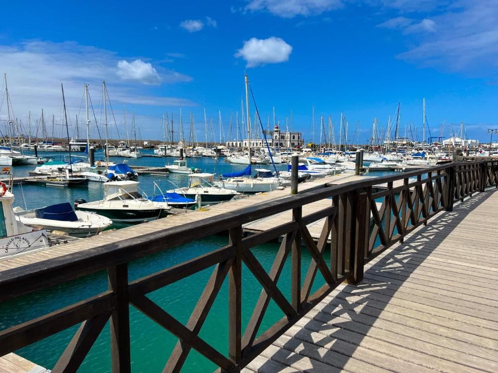 Cordial Marina Blanca - 18