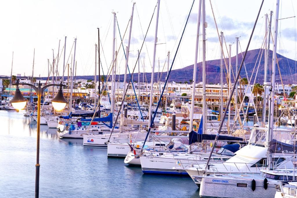 Cordial Marina Blanca - 41