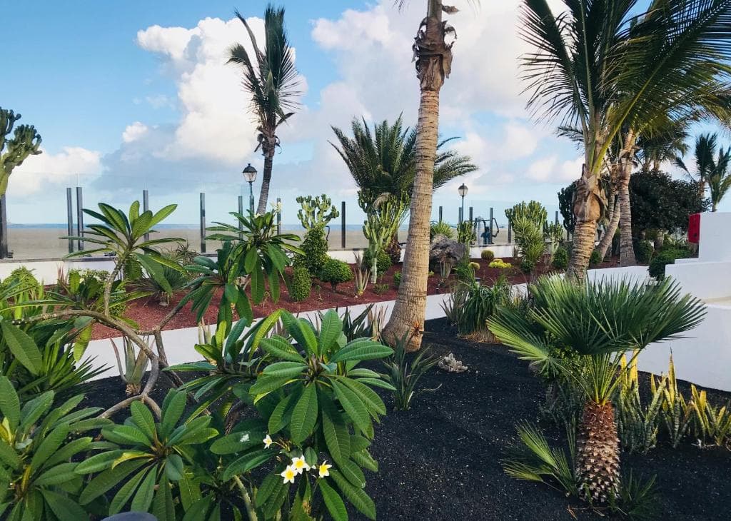 Hotel Las Costas - 41