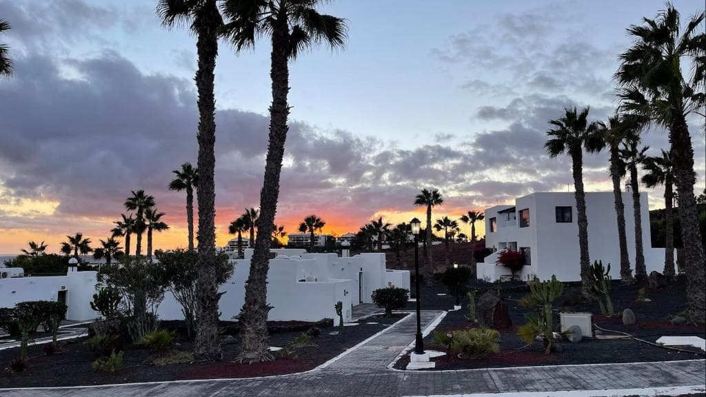 Palmeras Garden - 17