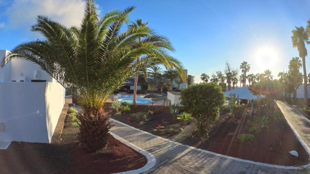 Palmeras Garden - 33