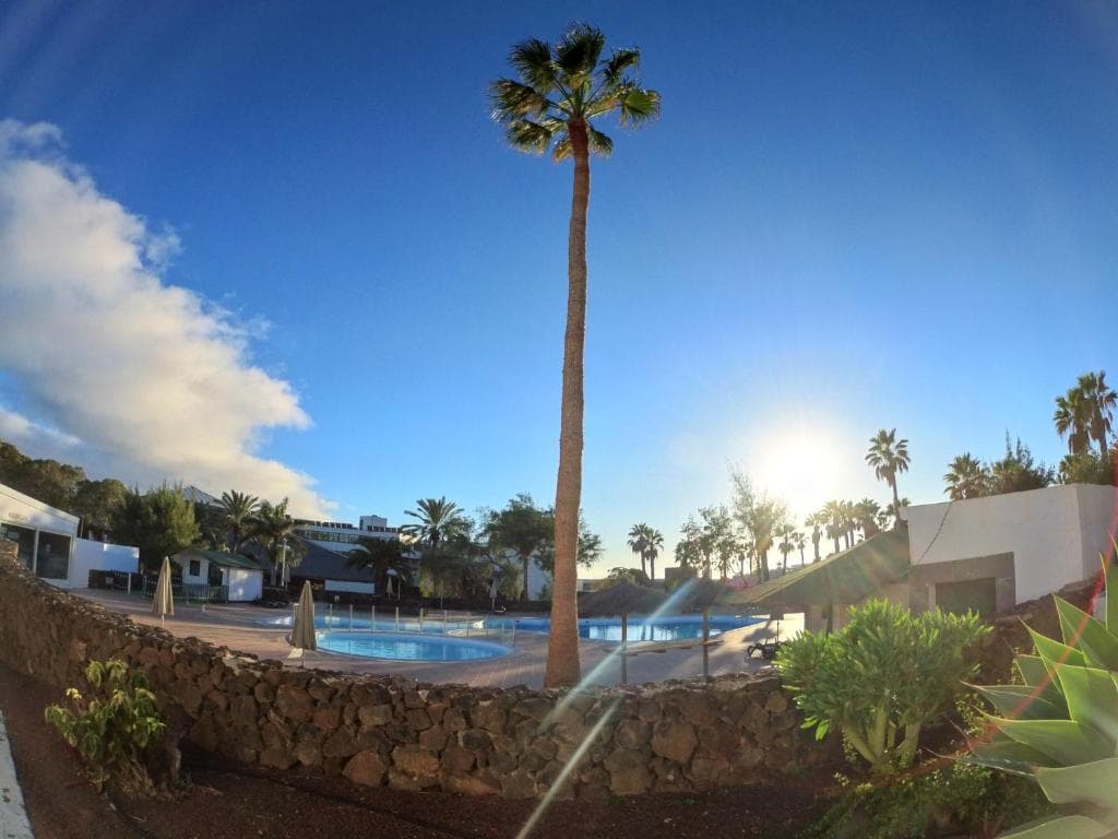 Palmeras Garden - 39