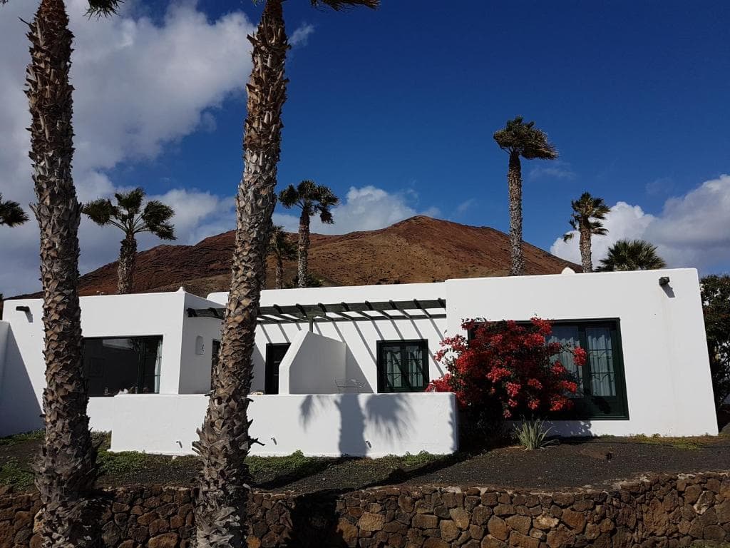 Palmeras Garden - 42