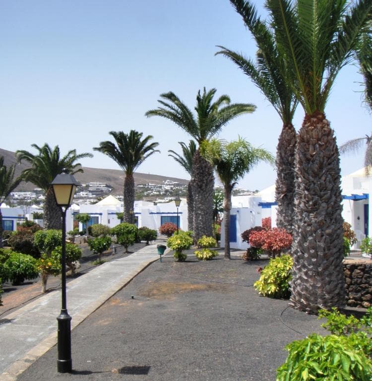 Sandos Atlantic Gardens - 27