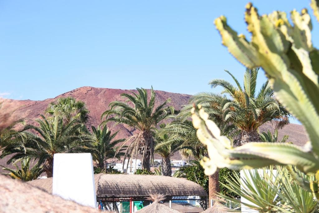 Sandos Atlantic Gardens - 29