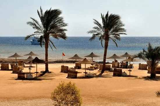 Shoni Bay Marsa Alam - 16