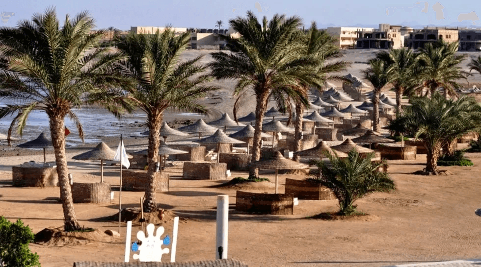 Shoni Bay Marsa Alam - 23