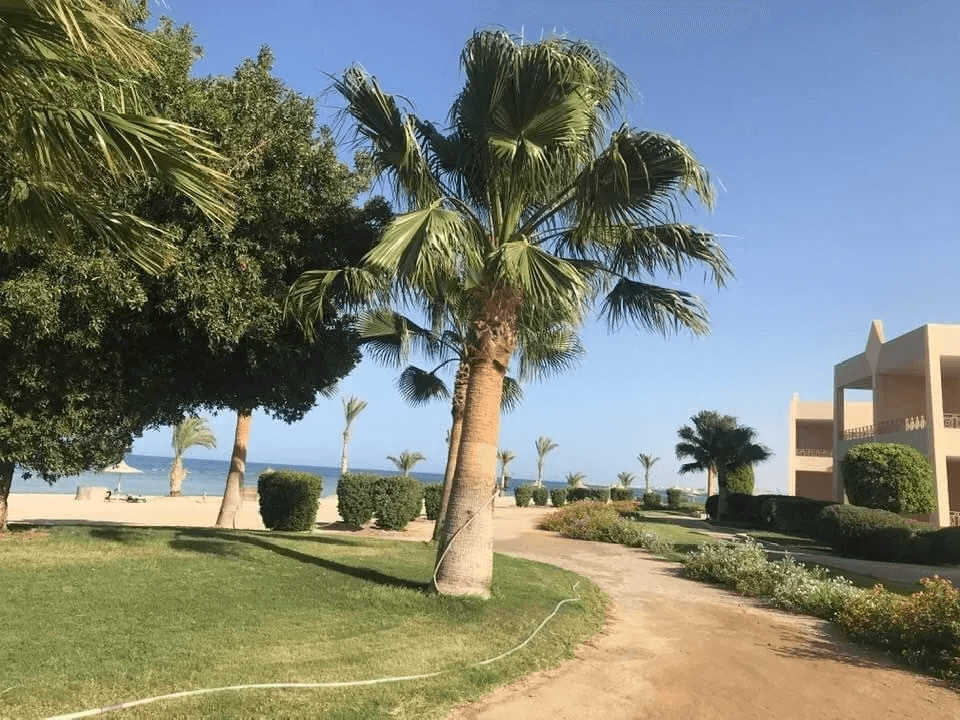 Shoni Bay Marsa Alam - 24