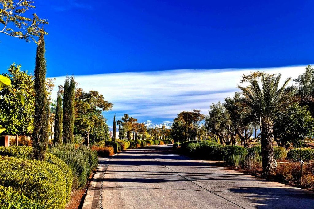 Al Maaden Villa Hotel & Spa - 43