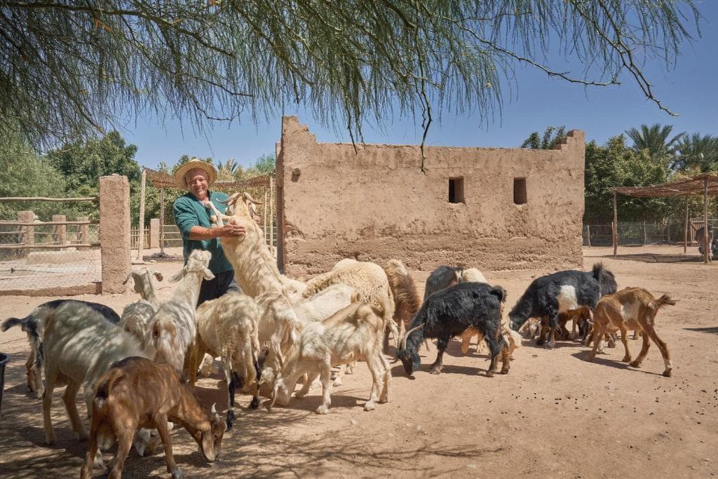 Hotel Mandarin Oriental Marrakech - 15