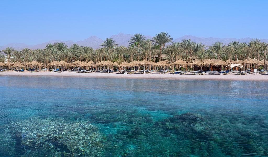 Jaz Sharm Dreams - 36