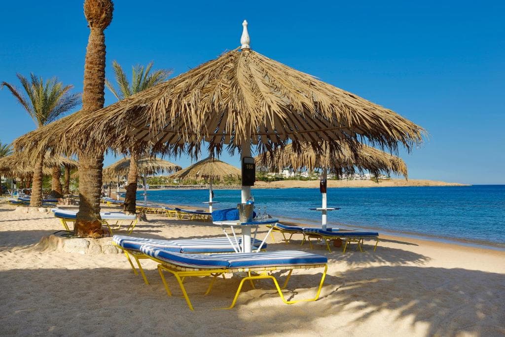 Jaz Sharm Dreams - 42