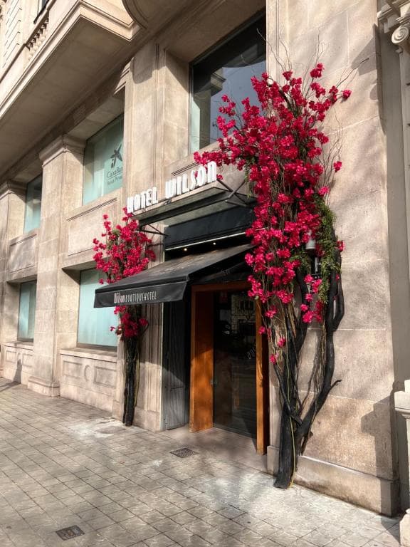 Wilson Boutique Hotel - 12