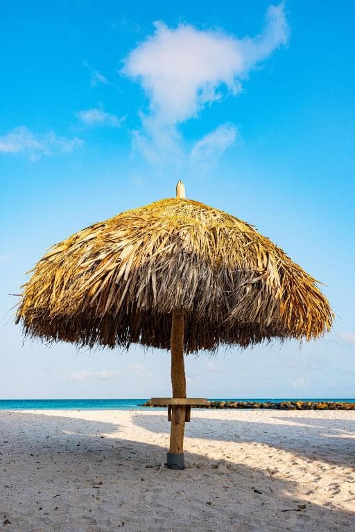 Embassy Suites by Hilton Aruba Resort - 24