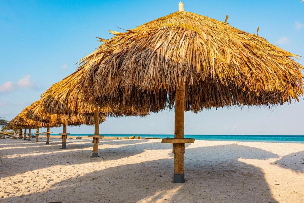 Embassy Suites by Hilton Aruba Resort - 26