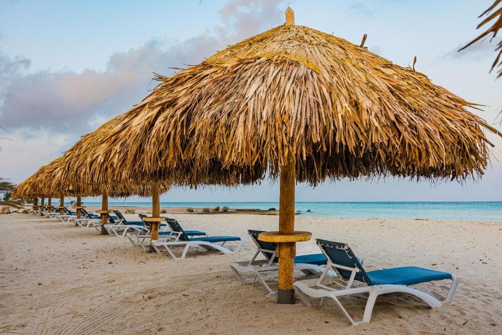 Embassy Suites by Hilton Aruba Resort - 29