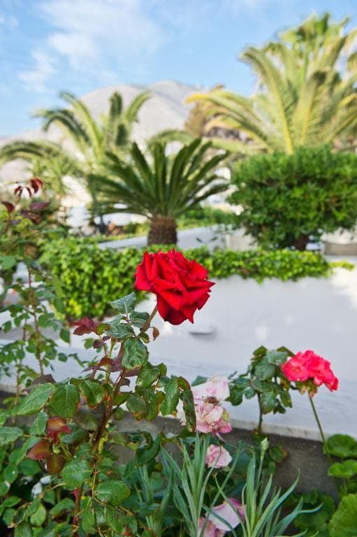 Makarios Hotel - 27