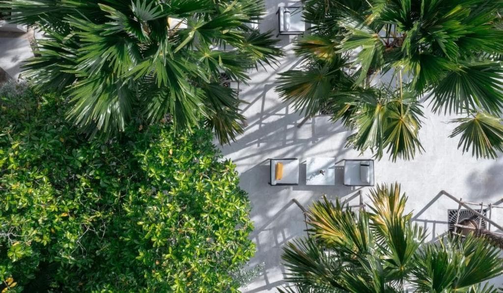 The Royal Paradise Hotel & Spa - 30