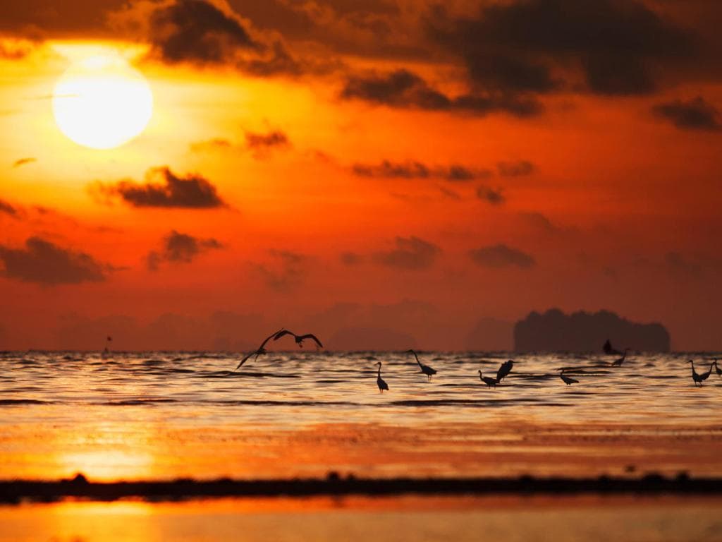 Hotel Ibis Styles Phuket City - 40