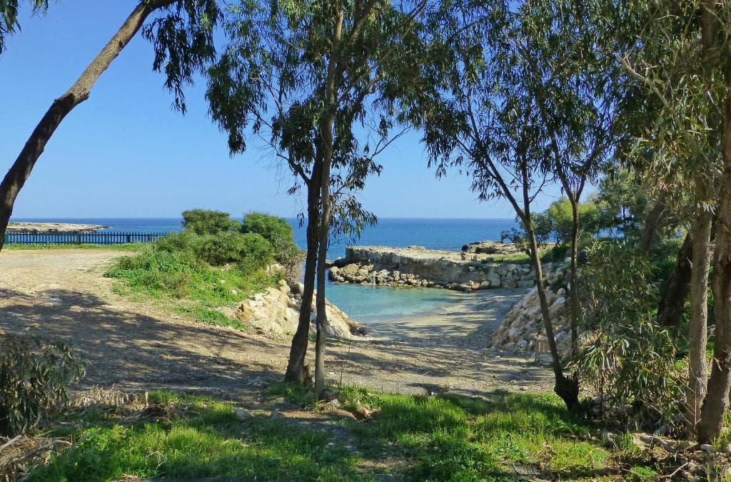 Sunrise Jade - Adults Only - 20