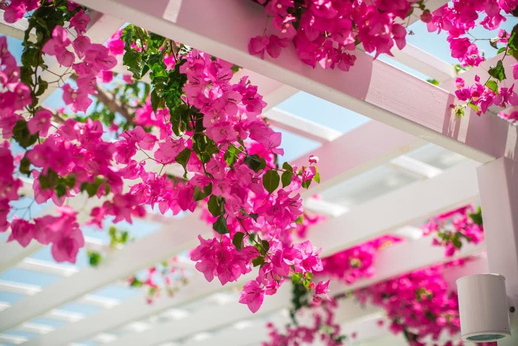 Nissi Park Hotel - 12