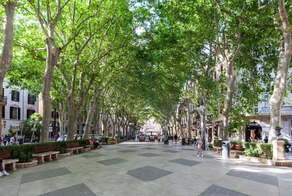 Nivia Born Boutique Hotel - 8