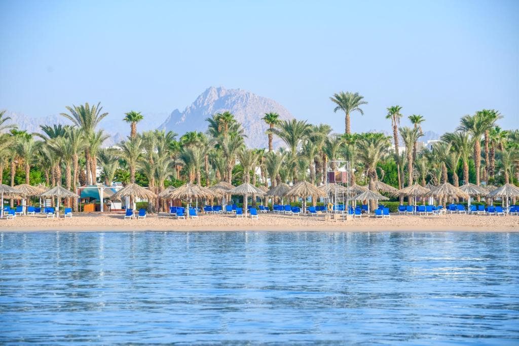 Jaz Fayrouz Resort - 32