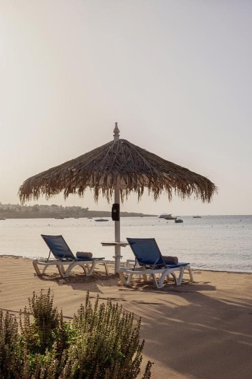 Jaz Fayrouz Resort - 40