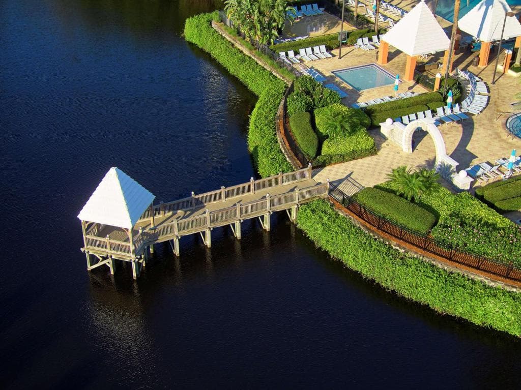 Hilton Grand Vacations Club SeaWorld Orlando - 11