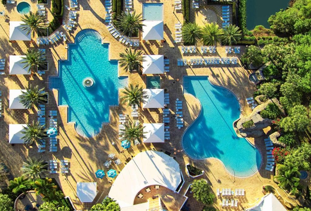 Hilton Grand Vacations Club SeaWorld Orlando - 16
