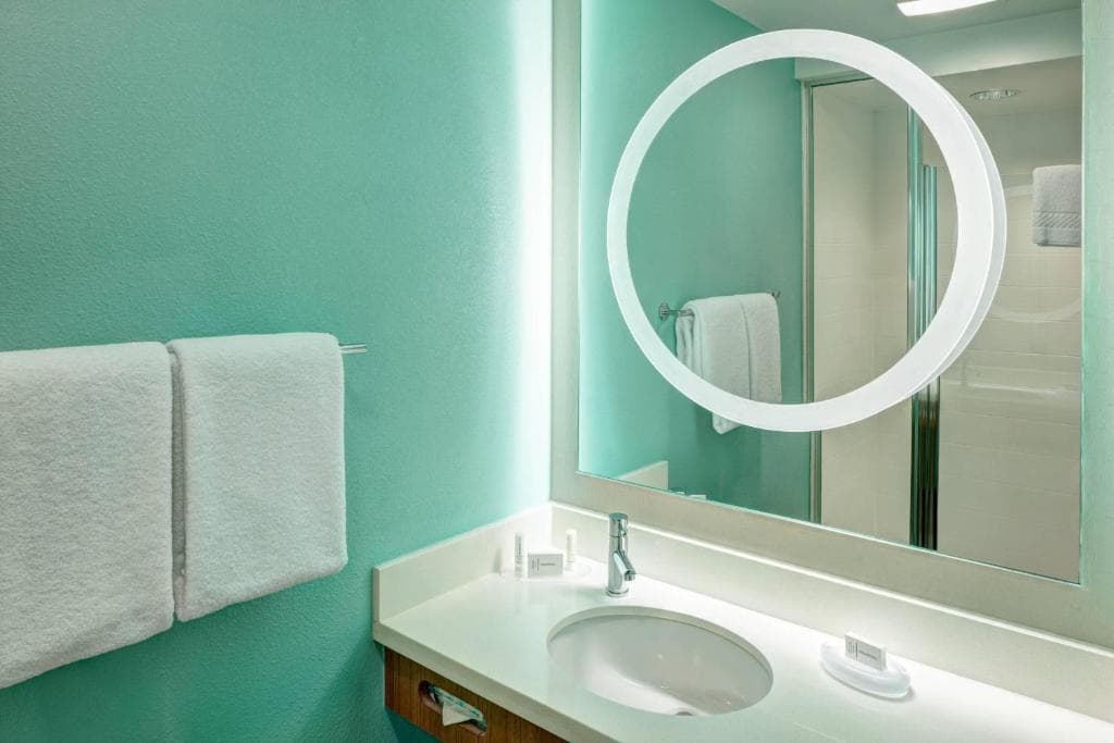 Springhill Suites by Marriott Orlando at Seaworld - 3