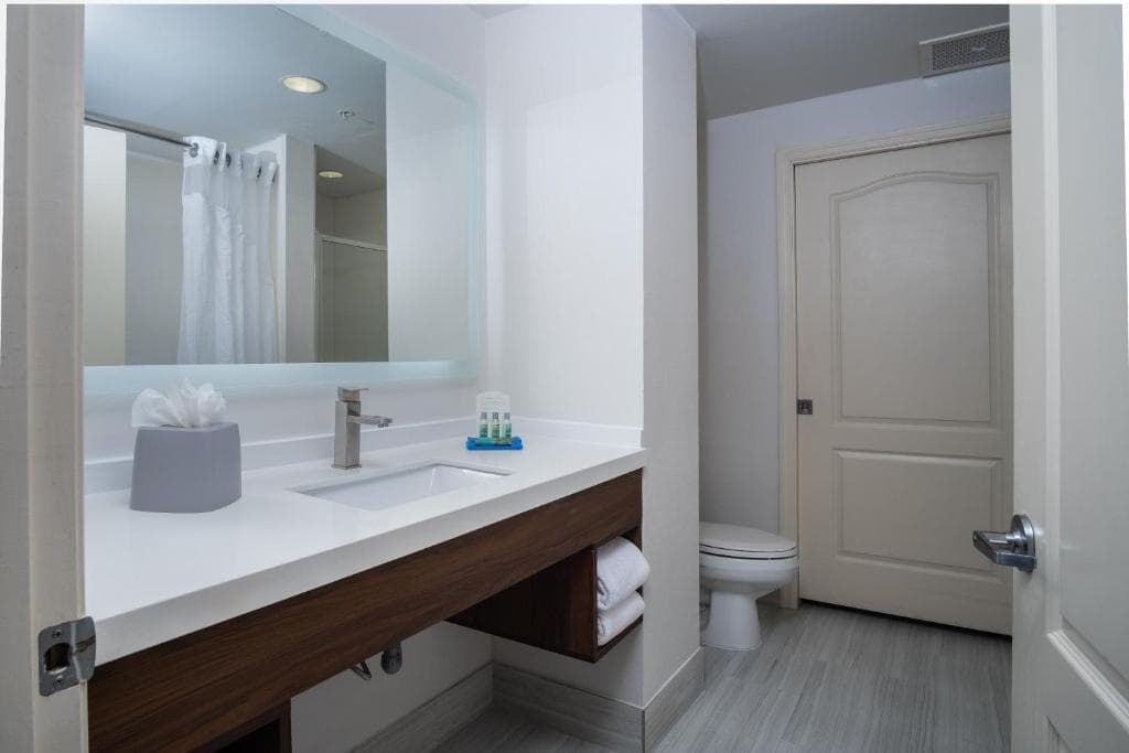 Holiday Inn Express Hotel & Suites Orlando International Drive - 4