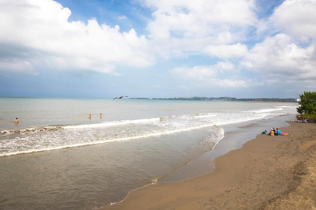 Estelar Playa Manzanillo - All inclusive - 21
