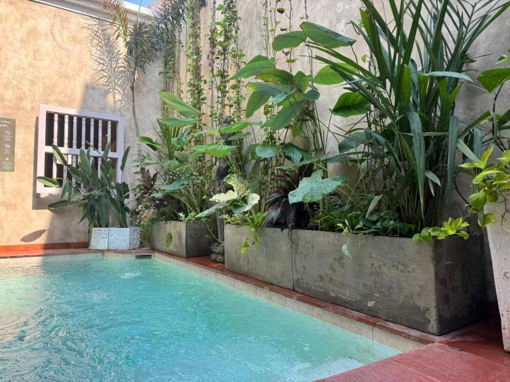 Moet Cartagena Hotel Boutique - 8