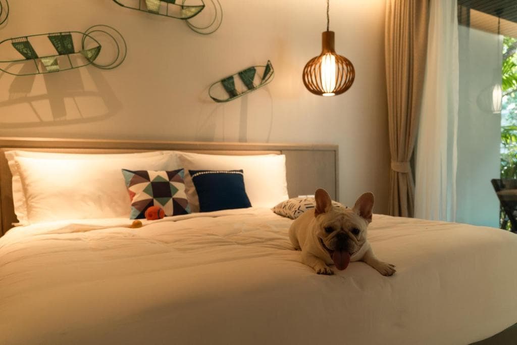 Avani Plus Khao Lak Resort - 4
