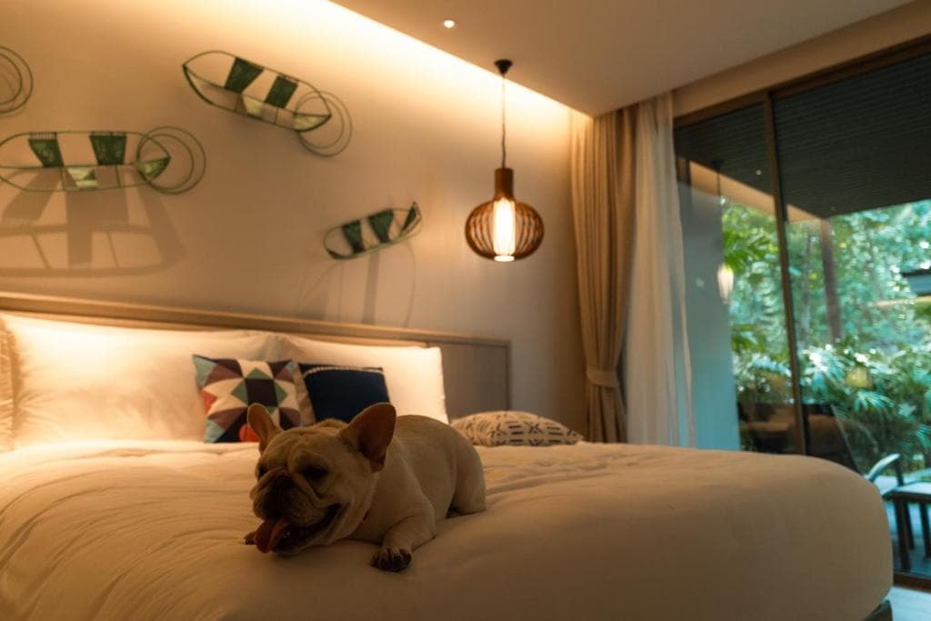 Avani Plus Khao Lak Resort - 21