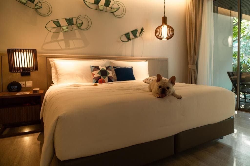 Avani Plus Khao Lak Resort - 22
