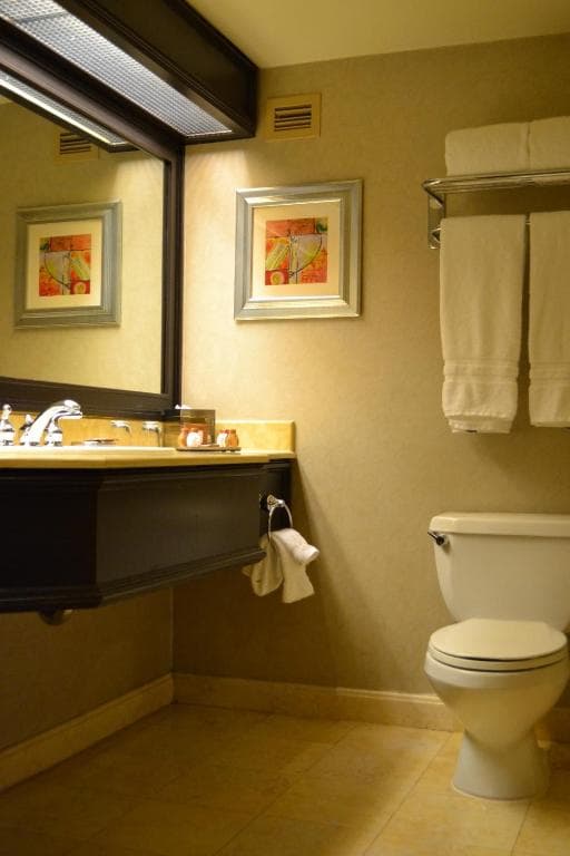 Treasure Island - TI Las Vegas Hotel & Casino, a Radisson Hotel - 18