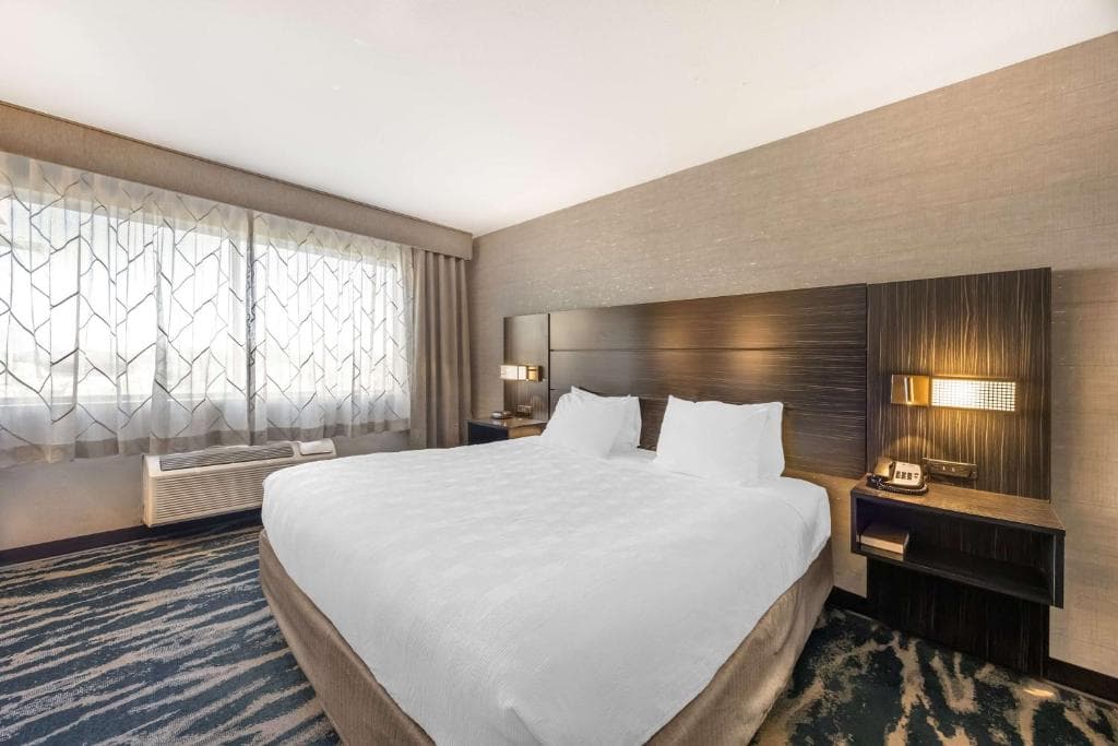Best Western Plus North Las Vegas Inn & Suites - 23