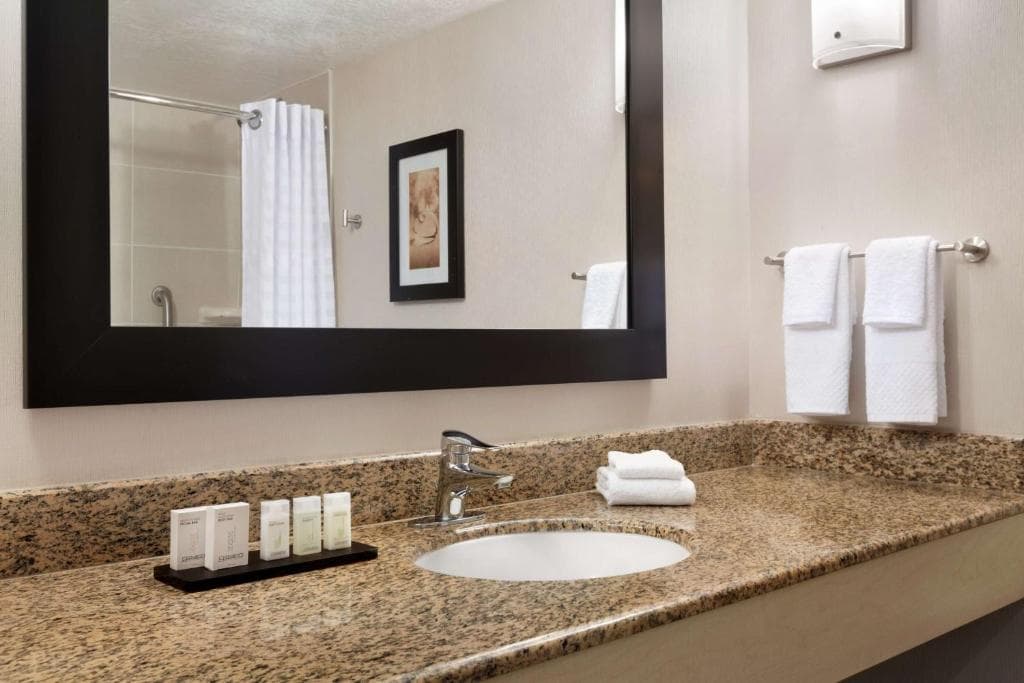 Embassy Suites by Hilton Convention Center Las Vegas - 30