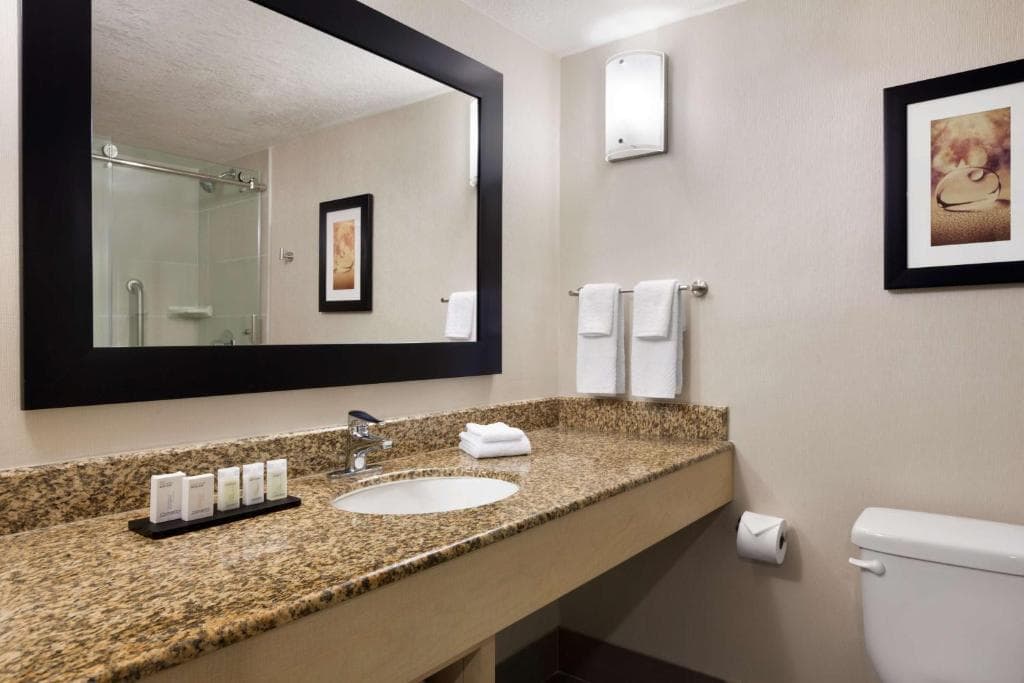 Embassy Suites by Hilton Convention Center Las Vegas - 40