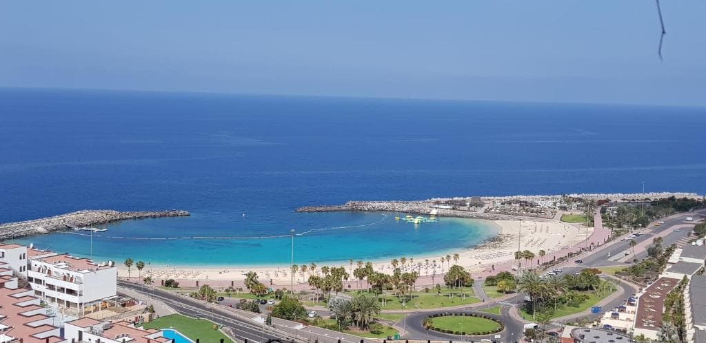 Chatur Palmera Mar - 18