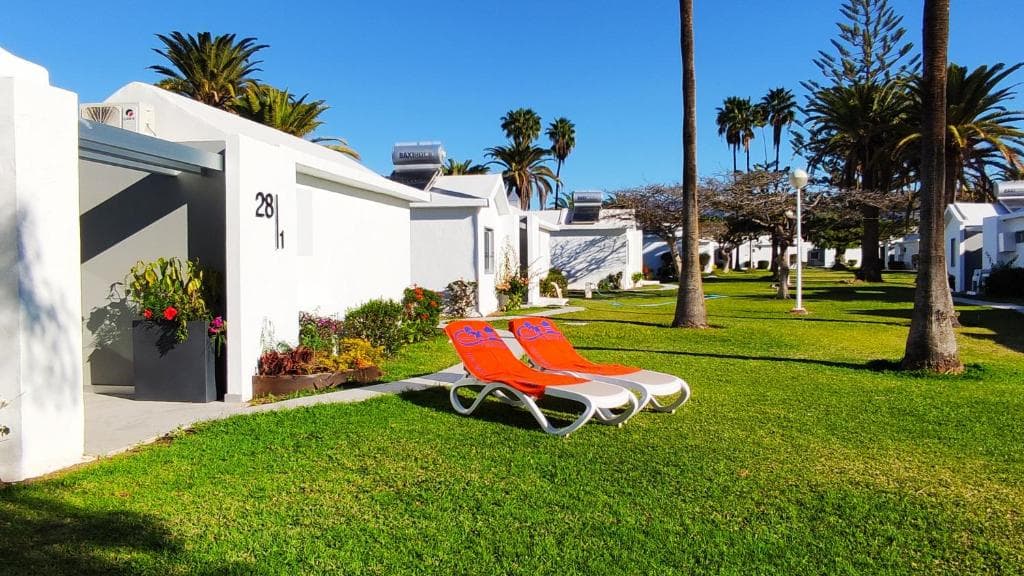 Canary Garden Club - 16