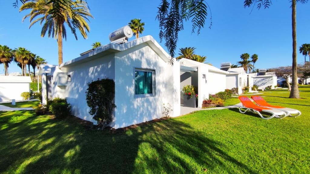 Canary Garden Club - 17