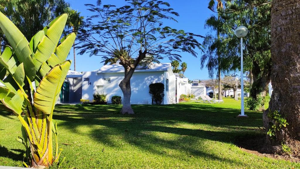 Canary Garden Club - 32