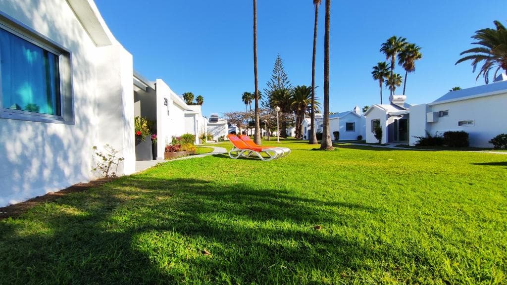 Canary Garden Club - 33