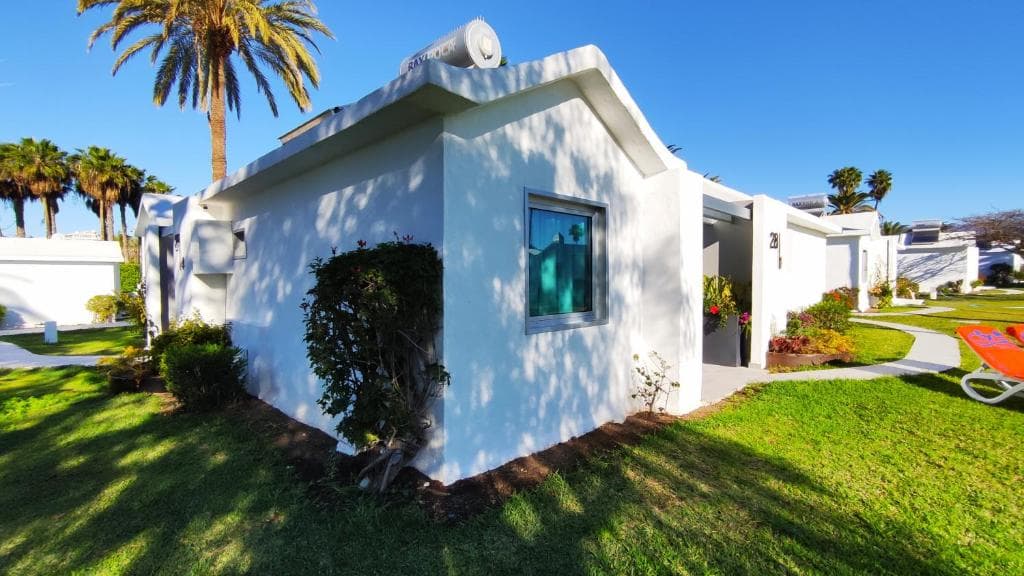 Canary Garden Club - 34