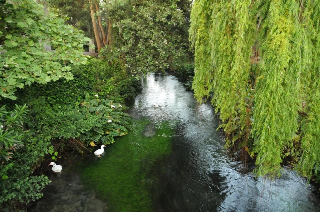 Kalyves Beach Hotel - 33