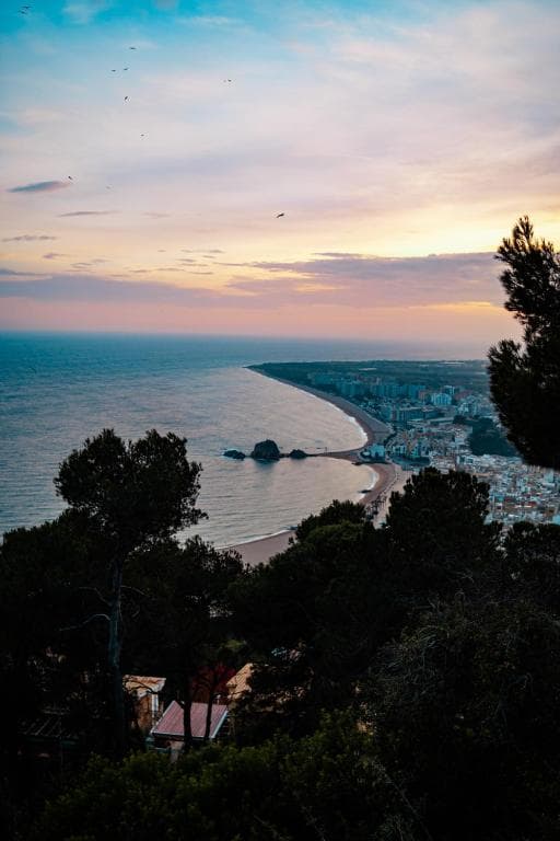 Pierre & Vacances Blanes Playa - 15